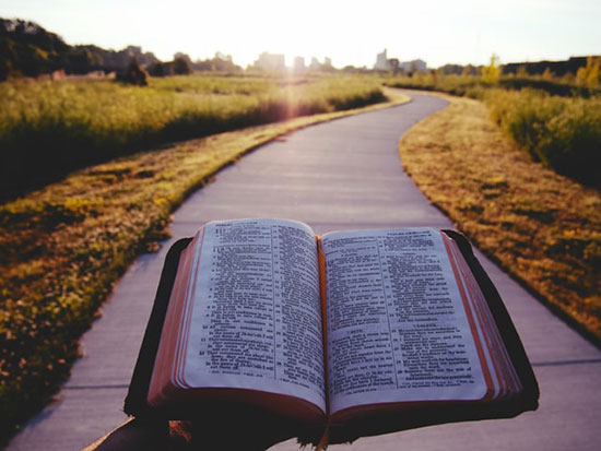 An open Bible held over a pathway symbolizing the way Scripture guides us along the path of life.