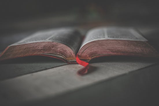 The Bibles you'll likely see Adventists open up are the ones many other Christians use.